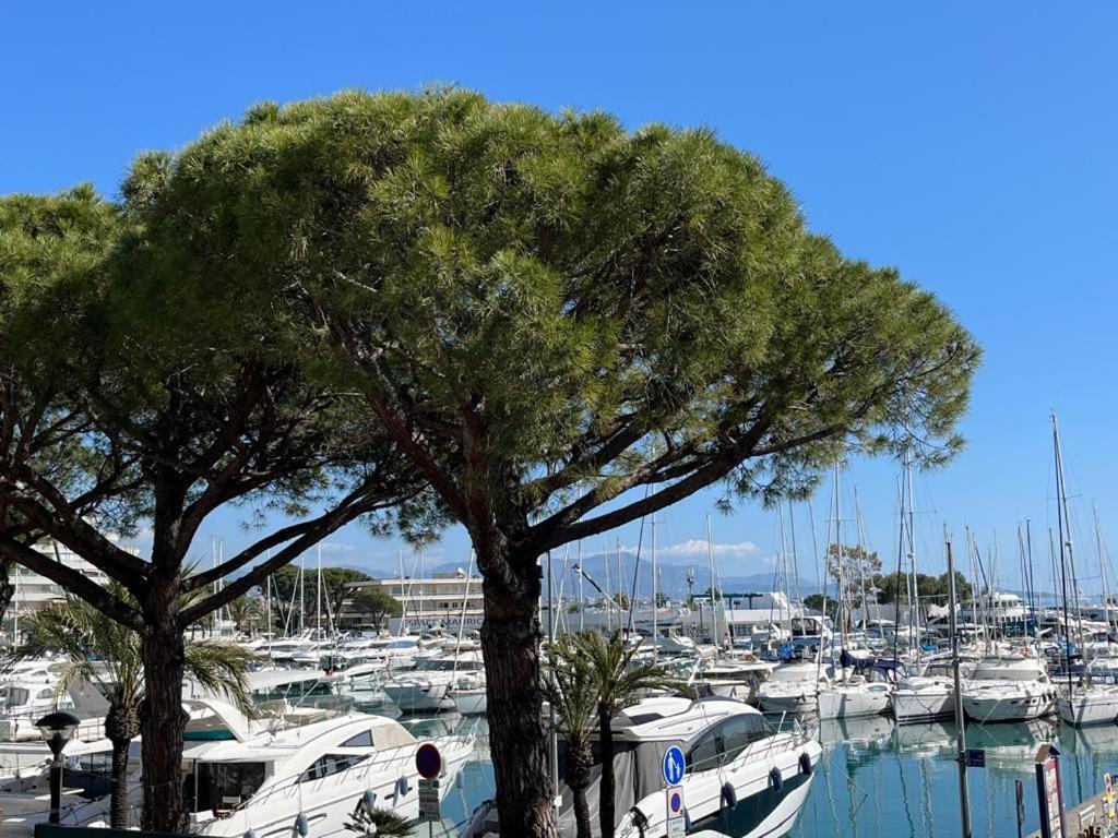 4 Pers , 100M De La Plage Marina Baie Des Anges French Riviera Villeneuve-Loubet Exteriör bild